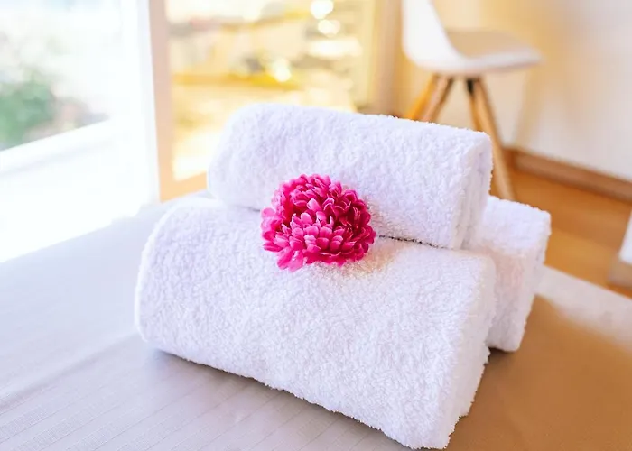 Madeira Offline By Amazing Madeira